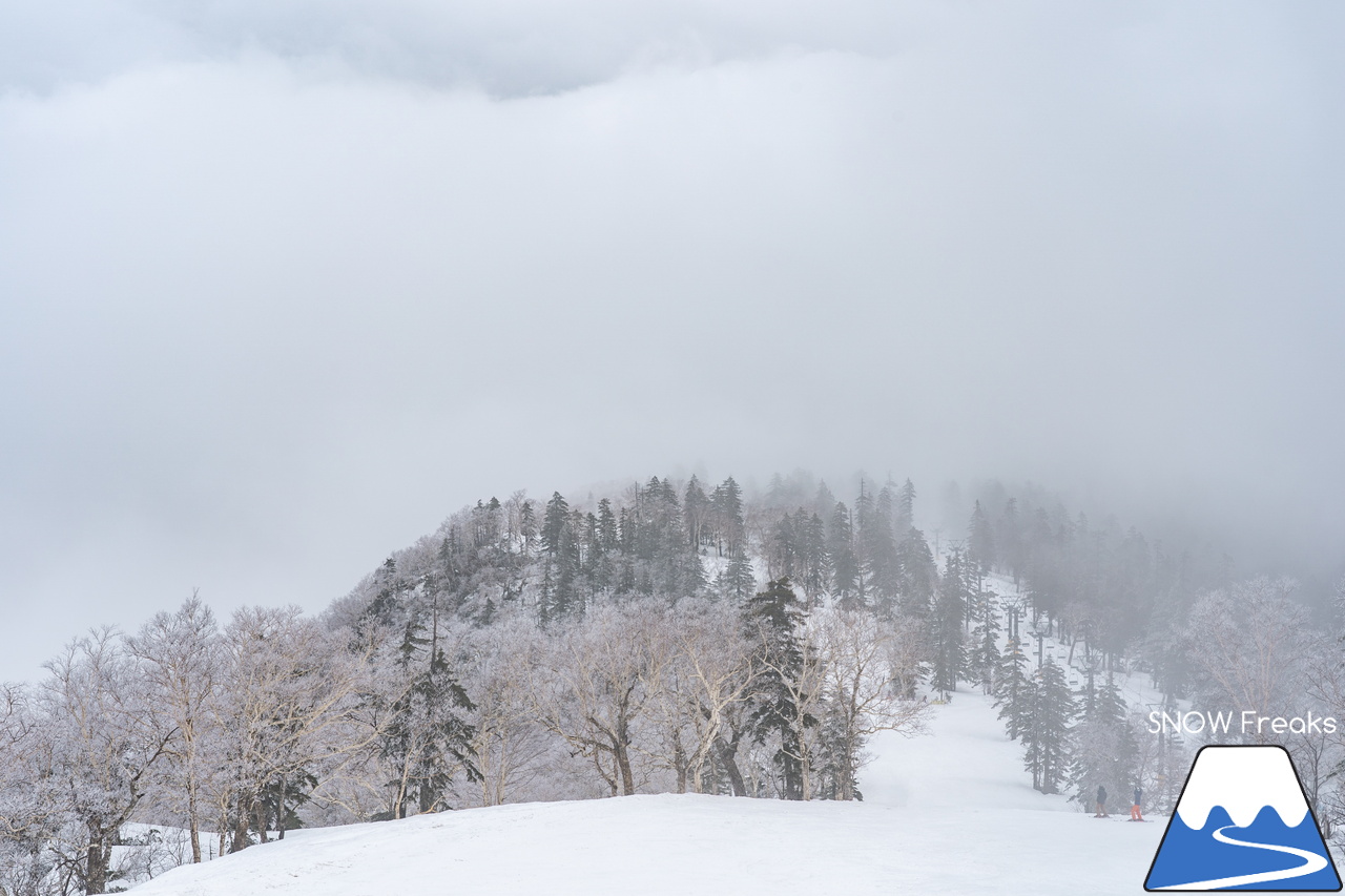 大雪山層雲峡・黒岳ロープウェイスキー場｜真っ白な『霧』に包まれた雲上のゲレンデ。春スキー＆スノーボードを楽しむなら、今がおススメです(^^)v